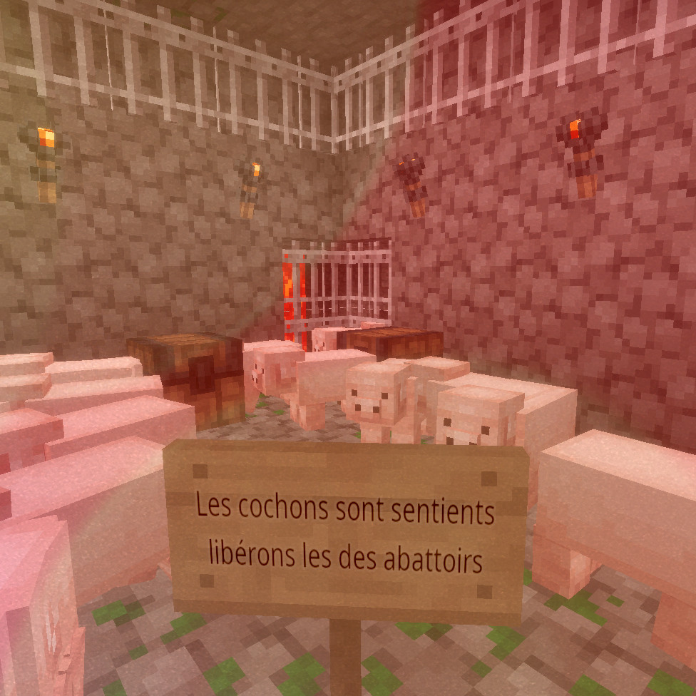 Screenshot d’un donjon du jeu Minetest remplit de cochons.
Au centre un panneau avec d’écrit : «Les cochons sont sentients libérons les des abattoirs»
