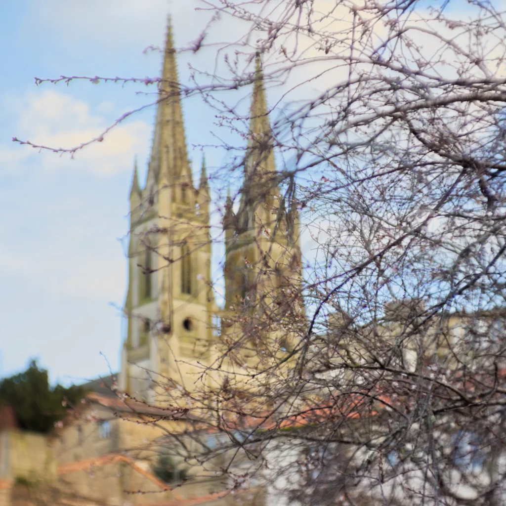 Photo d’une église a deux clochés, mais avec la mise au point au premier plas sur un arbre.