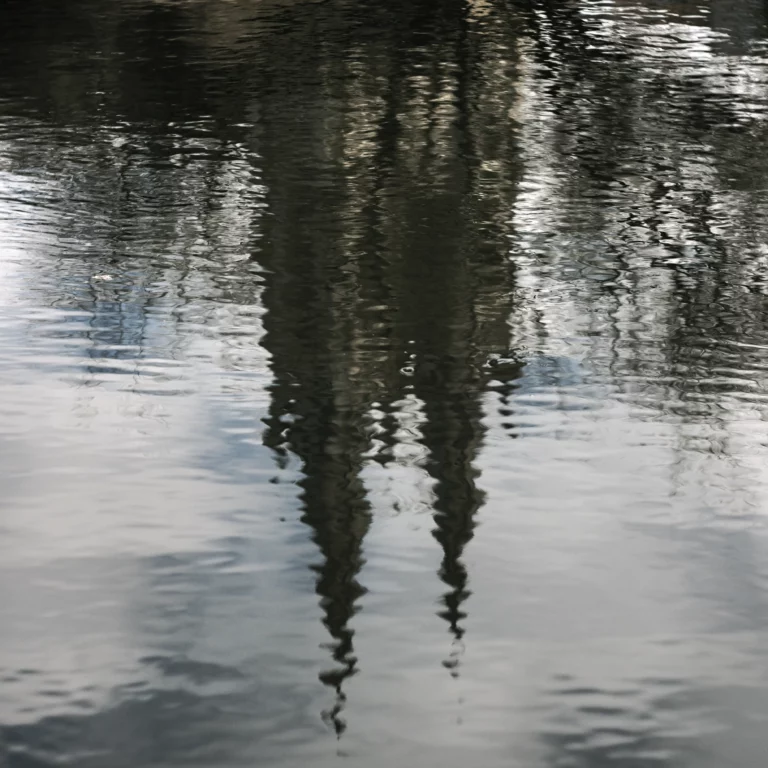 Le mirroir de l’eau