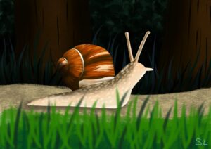 Un dessin numérique représentant un escargot qui se balade dans une forêt sombre.
