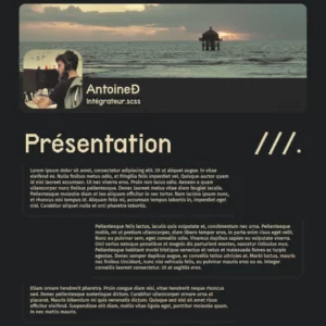 WIP de mon nouveau site