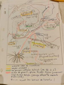 Back in time – La plume de Phénix