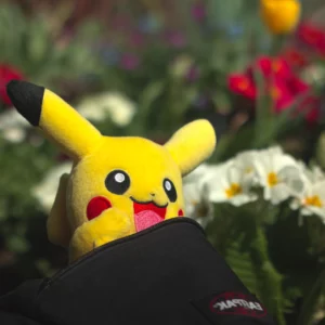 La découverte du printemps