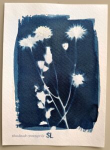 HS/test : impressions en cyanotype