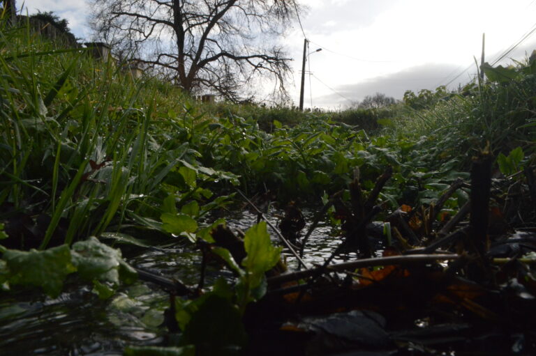 Photos polaris&eacute;es