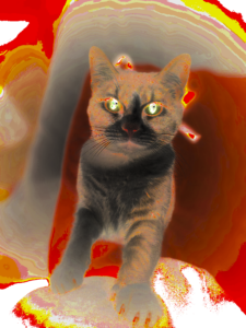 inversion de la polarité